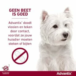 Advantix 400 4 Pipetten 9 Advantix 400 4 Pipetten -Beeztees Verkoop 2024 Advantix geenbeetisgoed 6