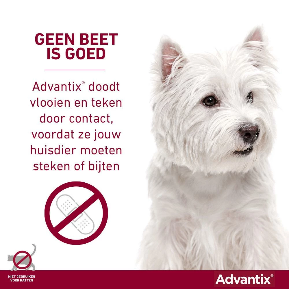 Advantix 400 4 Pipetten 6 Advantix 400 4 Pipetten - Afbeelding 4