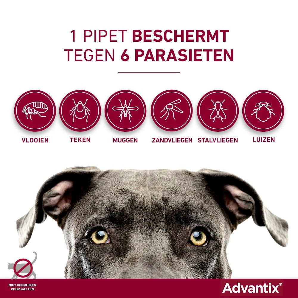 Advantix 400 4 Pipetten 5 Advantix 400 4 Pipetten - Afbeelding 3
