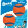 Chuckit! Ultra Ball M 6 Cm 2 St 1 Chuckit! Ultra Ball M 6 Cm 2 St -Beeztees Verkoop 2024 CHUC17001