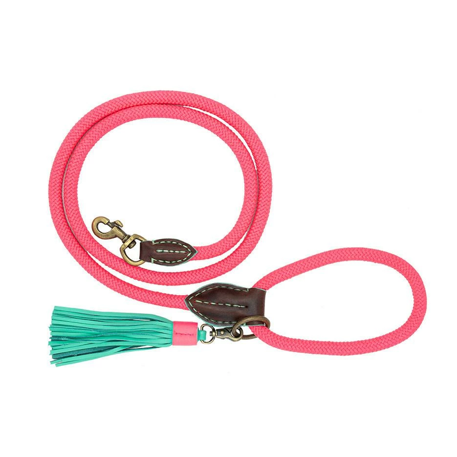 Dog With A Mission Hondenlijn Sugar Babe 3 Dog With A Mission Hondenlijn Sugar Babe