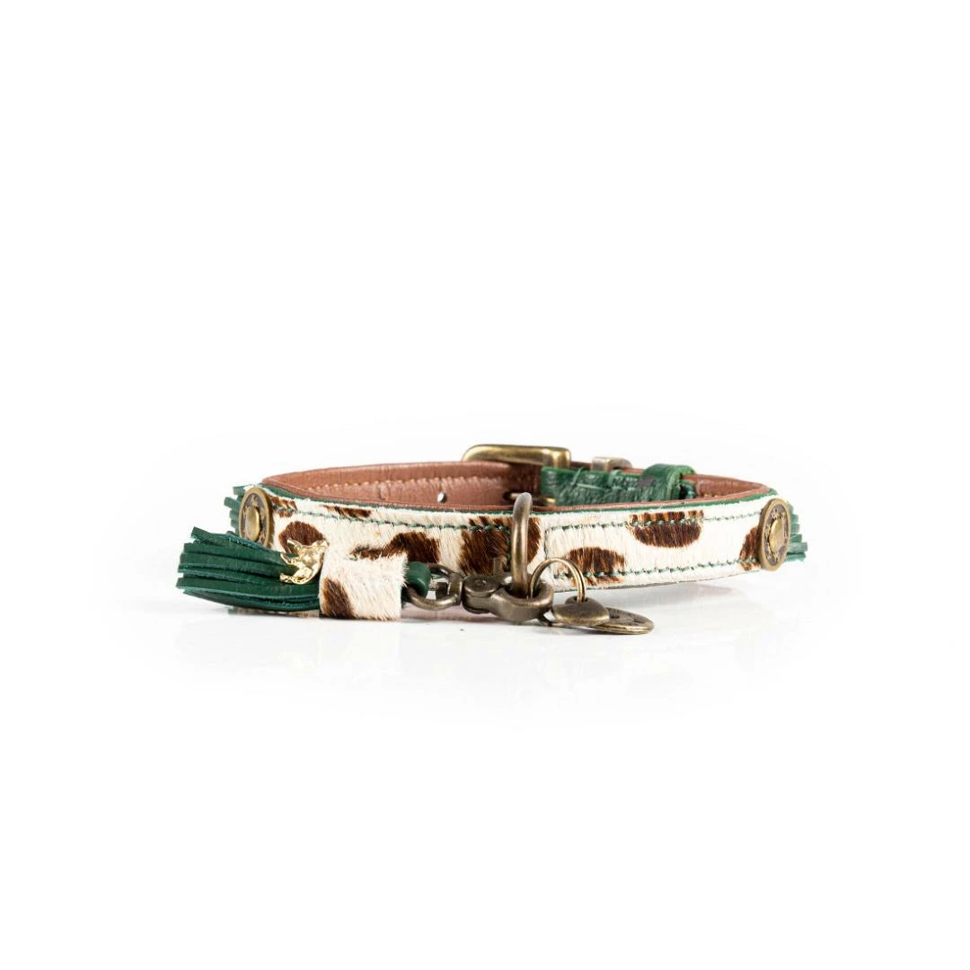 Dog With A Mission Halsband Ivy 4 Dog With A Mission Halsband Ivy - Afbeelding 2
