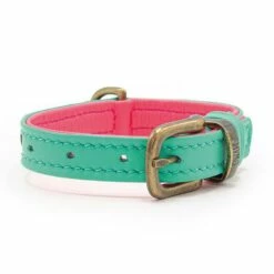 Dog With A Mission Halsband Bella XXXS -Beeztees Verkoop 2024 DWAM Minidog SS21 Flowerbomb Bella 3