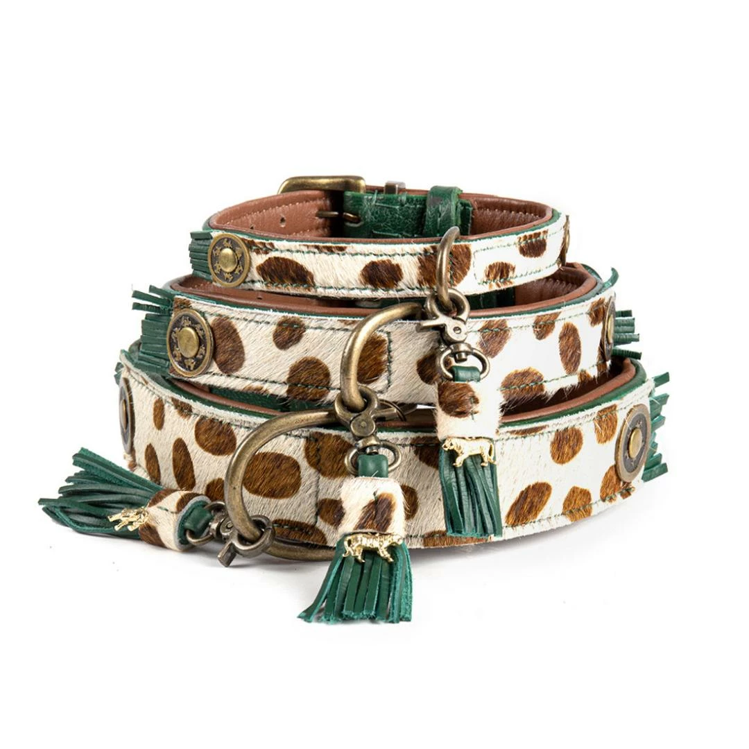 Dog With A Mission Halsband Ivy 3 Dog With A Mission Halsband Ivy