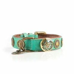 Dog With A Mission Halsband Rebel 12 Dog With A Mission Halsband Rebel -Beeztees Verkoop 2024 DWAM NOOS URBAN REBEL M1 2021