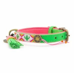 Dog With A Mission Halsband Tropical Summer -Beeztees Verkoop 2024 DWAM SS22 Beads TropicalSummer S2