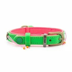 Dog With A Mission Halsband Tropical Summer -Beeztees Verkoop 2024 DWAM SS22 Beads TropicalSummer S3