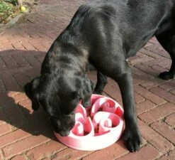 Eat Slow Live Longer Voerbak Original Pink -Beeztees Verkoop 2024 EATS008 3