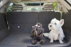 PetEgo K9 Keeper Autorek Zilver -Beeztees Verkoop 2024 K9K 7