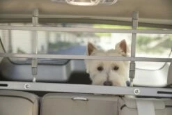 PetEgo K9 Keeper Autorek Zilver -Beeztees Verkoop 2024 K9K 8