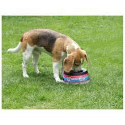 Road Refresher Grijs -Beeztees Verkoop 2024 LGRR 3