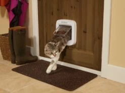 PetSafe Microchip Kattenluik Cat Flap Wit -Beeztees Verkoop 2024 Lifestyle02