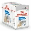 Royal Canin Hondenvoer Light Weight Care 12 X 85 Gr 2 Royal Canin Hondenvoer Light Weight Care 12 X 85 Gr -Beeztees Verkoop 2024 Light Weight Care Wet Doos
