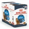 Royal Canin Kattenvoer Ultra Light In Gravy 12 X 85 Gr 2 Royal Canin Kattenvoer Ultra Light In Gravy 12 X 85 Gr -Beeztees Verkoop 2024 Light Weight Care in Gravy Closed Box
