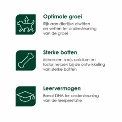 Premium Care Original Puppy Medium Chicken & Rice 12 Kg -Beeztees Verkoop 2024 Puppy Medium iconen