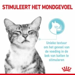Royal Canin Kattenvoer Sensory Feel In Gravy 12 X 85 Gr -Beeztees Verkoop 2024 RC SPT WET SensFeelMIG CV 1 nl NL