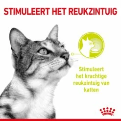 Royal Canin Kattenvoer Sensory Smell In Gravy 12 X 85 Gr -Beeztees Verkoop 2024 RC SPT WET SensSmellCIG CV 1 nl NL