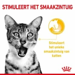 Royal Canin Kattenvoer Sensory Taste In Gravy 12 X 85 Gr -Beeztees Verkoop 2024 RC SPT WET SensTasteCIG CV 1 nl NL