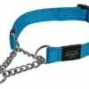 Rogz Beltz Utility Sliphalsband Turquoise -Beeztees Verkoop 2024 RHC11FDET0