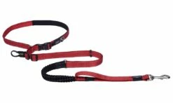Rogz Utility Hondenlijn Handsfree Red 12 Rogz Utility Hondenlijn Handsfree Red -Beeztees Verkoop 2024 RHLF05C Utility Handsfree Lead XL Red DET1