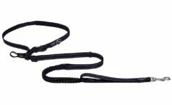 Rogz Utility Hondenlijn Handsfree Black 10 Rogz Utility Hondenlijn Handsfree Black -Beeztees Verkoop 2024 RHLF06A Utility Handsfree Lead L Black DET1
