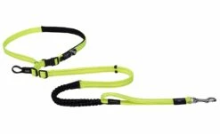 Rogz Utility Hondenlijn Handsfree Yellow -Beeztees Verkoop 2024 RHLF06H Utility Handsfree Lead L DayGlo DET1