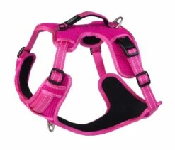 Rogz Hondentuig Explore Pink -Beeztees Verkoop 2024 RSJX06K DET0