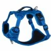 Rogz Hondentuig Explore Blue -Beeztees Verkoop 2024 RSJX11B DET0