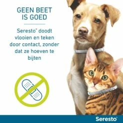 Seresto Band Voor Katten -Beeztees Verkoop 2024 Seresto doodt door contact 1