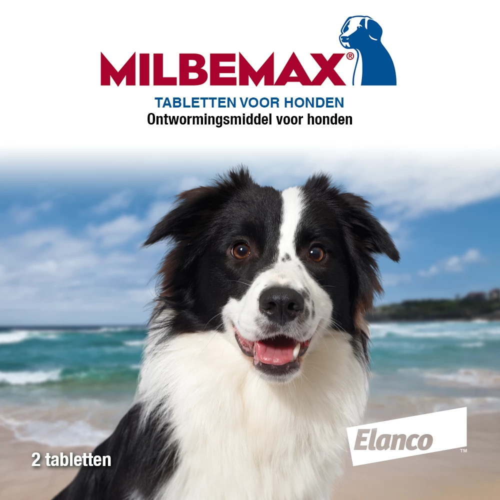 Milbemax Tabletten Hond 10 - 50 Kg 2 St 4 Milbemax Tabletten Hond 10 - 50 Kg 2 St - Afbeelding 2
