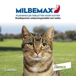 Milbemax Tabletten Kat 2 - 8 Kg 2 St -Beeztees Verkoop 2024 Tabletten voor katten