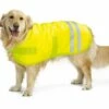 Beeztees Reflecterende Hondenjas -Beeztees Verkoop 2024 beeztees teddy reflecterend