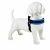 Tre Ponti Hondentuig Mesh Fibbia Reflective Verstelbaar Sky Blauw 1 Tre Ponti Hondentuig Mesh Fibbia Reflective Verstelbaar Sky Blauw -Beeztees Verkoop 2024 blauw donker hond