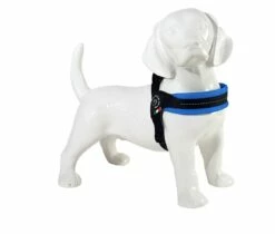 Tre Ponti Hondentuig Mesh Fibbia Reflective Verstelbaar Sky Blauw