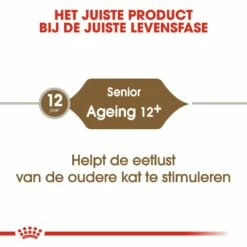 Royal Canin Kattenvoer Ageing 12+ 2 Kg -Beeztees Verkoop 2024 royal canin ageing 12plus senior kat oudere kat vanaf 12 jaar hero image 9 1