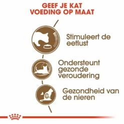 Royal Canin Kattenvoer Ageing 12+ 2 Kg -Beeztees Verkoop 2024 royal canin ageing 12plus senior kat oudere kat vanaf 12 jaar hero usp