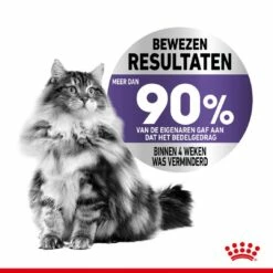 Royal Canin Kattenvoer Appetite Control Care 3,5 Kg -Beeztees Verkoop 2024 royal canin appetite control care gesteriliseerd volwassen kat bedelgedrag hero image 9