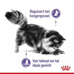 Royal Canin Kattenvoer Appetite Control Care 3,5 Kg -Beeztees Verkoop 2024 royal canin appetite control care gesteriliseerd volwassen kat bedelgedrag hero usp