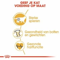 Royal Canin Kattenvoer British Shorthair Adult 2 Kg 7 Royal Canin Kattenvoer British Shorthair Adult 2 Kg -Beeztees Verkoop 2024 royal canin british shorthair adult volwassen kat brits korthaar van 1 tot 12 jaar hero usp 2