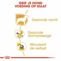 Royal Canin Hondenvoer Chihuahua Adult 12 X 85 Gr 9 Royal Canin Hondenvoer Chihuahua Adult 12 X 85 Gr -Beeztees Verkoop 2024 royal canin chihuahua adult natvoer volwassen hond chihuahua vanaf 8 maanden hero usp