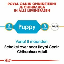 Royal Canin Hondenvoer Chihuahua Puppy 1,5 Kg -Beeztees Verkoop 2024 royal canin chihuahua junior pup hond chihuahua hero image 9