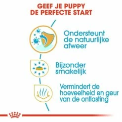 Royal Canin Hondenvoer Chihuahua Puppy 1,5 Kg -Beeztees Verkoop 2024 royal canin chihuahua junior pup hond chihuahua hero usp
