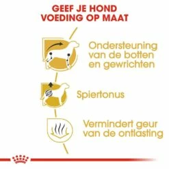 Royal Canin Hondenvoer Dachshund Adult 1,5 Kg 7 Royal Canin Hondenvoer Dachshund Adult 1,5 Kg -Beeztees Verkoop 2024 royal canin dachshund adult volwassen hond teckel vanaf 10 maanden hero usp