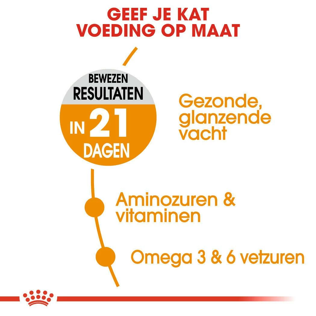 Royal Canin Kattenvoer Hair & Skin Care 4 Kg 6 Royal Canin Kattenvoer Hair & Skin Care 4 Kg - Afbeelding 4