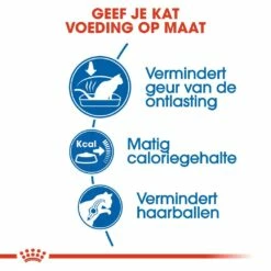 Royal Canin Kattenvoer Indoor 27 10 Kg -Beeztees Verkoop 2024 royal canin indoor 27 volwassen kat binnenkatten hero usp
