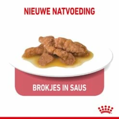 Royal Canin Kattenvoer Indoor 7+ In Gravy 12 X 85 Gr -Beeztees Verkoop 2024 royal canin indoor sterilised 7plus gravy volwassen kat binnenkatten hero kibble
