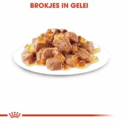 Royal Canin Kattenvoer Instinctive In Jelly 12 X 85 Gr 8 Royal Canin Kattenvoer Instinctive In Jelly 12 X 85 Gr -Beeztees Verkoop 2024 royal canin instinctive in jelly volwassen kat kieskeurige katten hero kibble