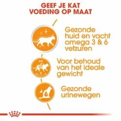 Royal Canin Kattenvoer Intense Beauty In Gravy 12 X 85 Gr 9 Royal Canin Kattenvoer Intense Beauty In Gravy 12 X 85 Gr -Beeztees Verkoop 2024 royal canin intense beauty in gravy volwassen kat vacht en huid hero usp