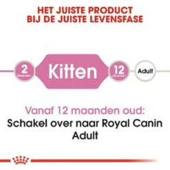 Royal Canin Kattenvoer Kitten 4 Kg 9 Royal Canin Kattenvoer Kitten 4 Kg -Beeztees Verkoop 2024 royal canin kitten kitten kat groeifase hero image 8 1