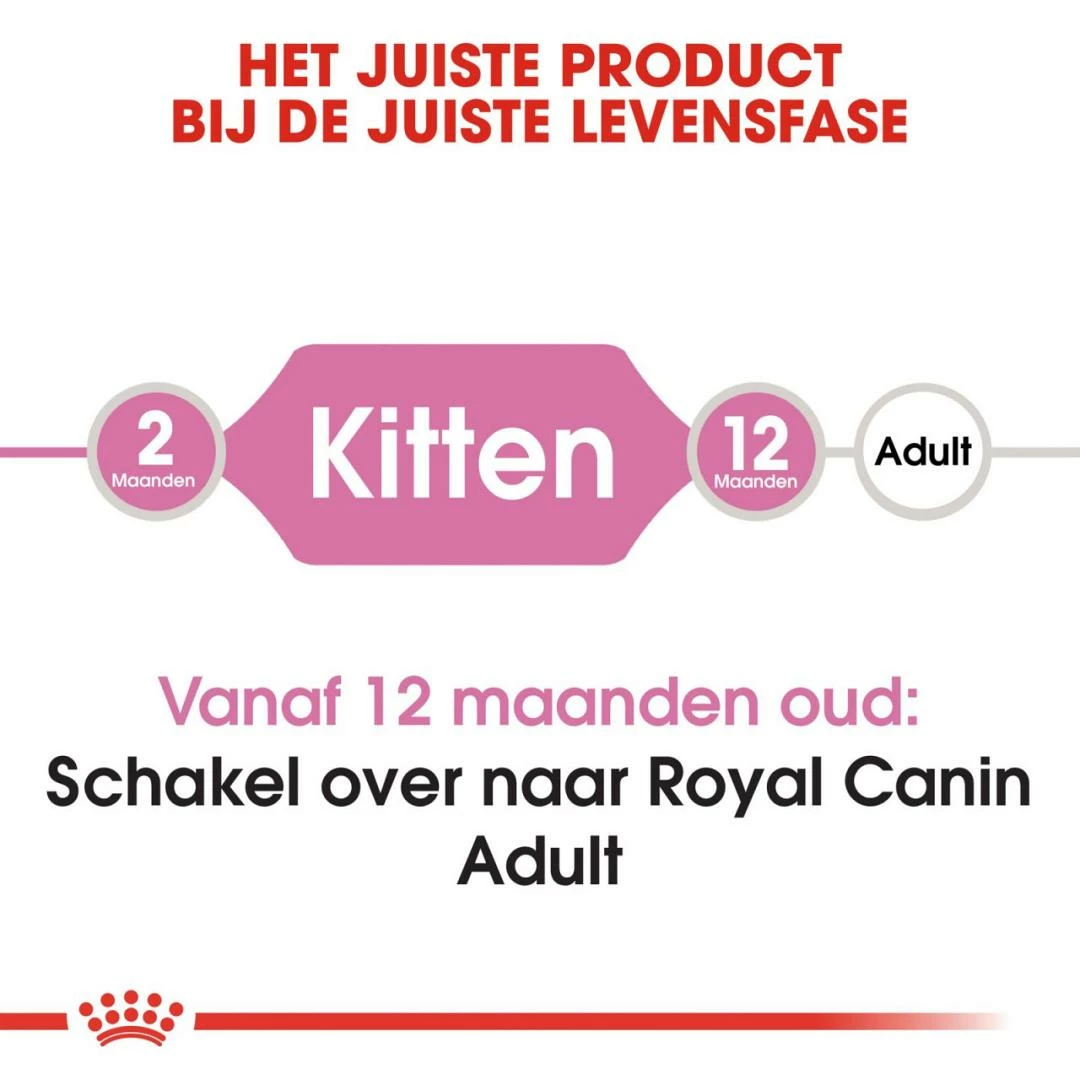 Royal Canin Kattenvoer Kitten 2 Kg 6 Royal Canin Kattenvoer Kitten 2 Kg - Afbeelding 4